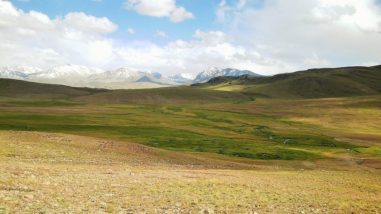 Open grassy Deosai plains with a stream and snowy mountains in the distance