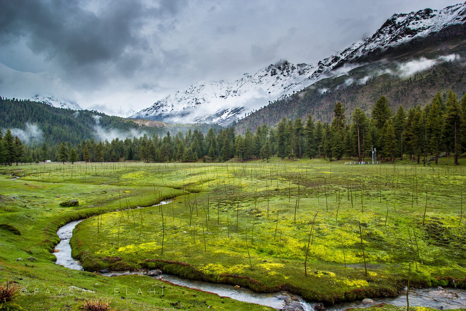 Green Rama Meadows in Astore Valley, Gilgit Baltistan, Pakistan